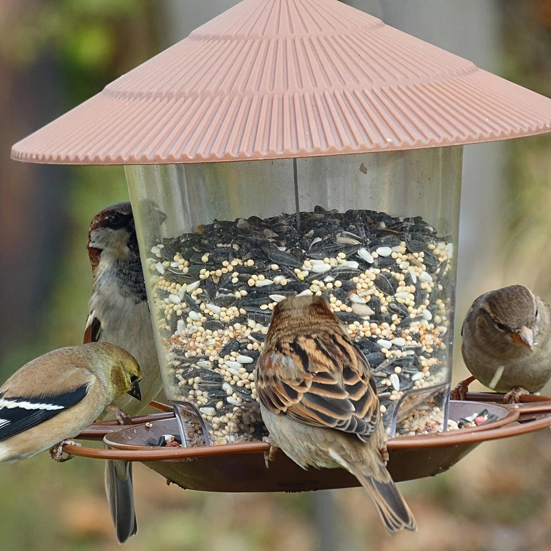 Brown mushroom bird feeder attracting various wild birds