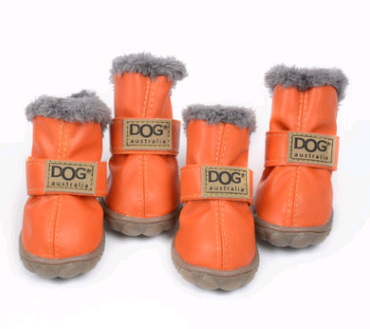 Protective dog boots keeping paws safe on snow and salt
