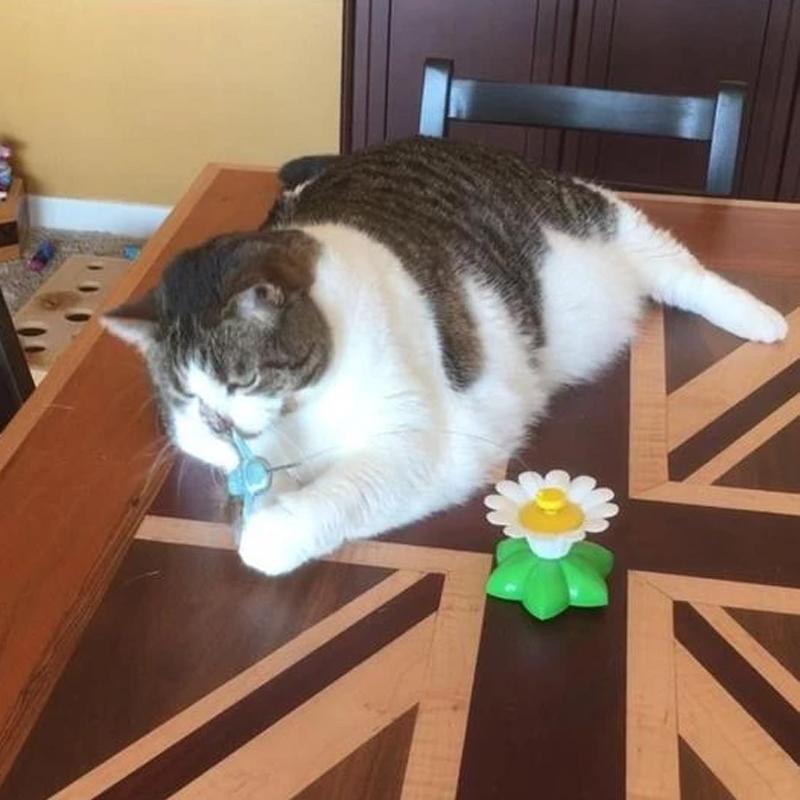 Durable plastic base of the battery operated cat toy