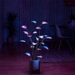 100 Programmable LEDs