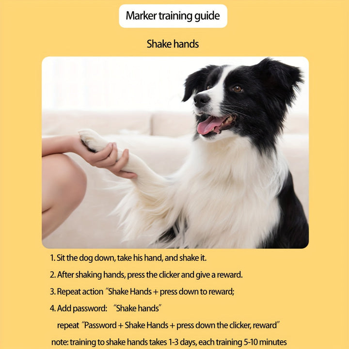 Close-up of pet training clicker button for puppy behavioral training