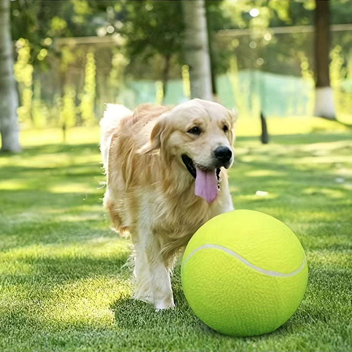 Golden retriever running joyfully through a green park alongside a giant tennis ball