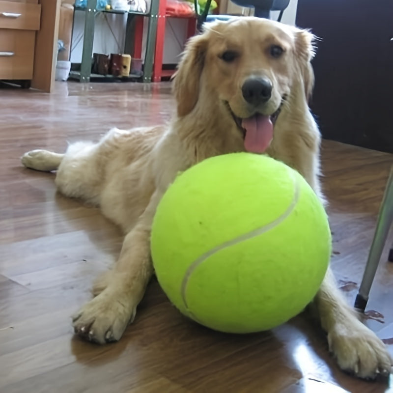 Golden retriever dog resting happily indoors next to an extra large yellow tennis ball