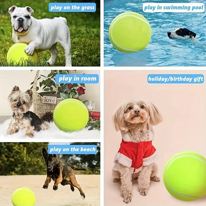 Big dog toy extra durable tennis ball for active pets
