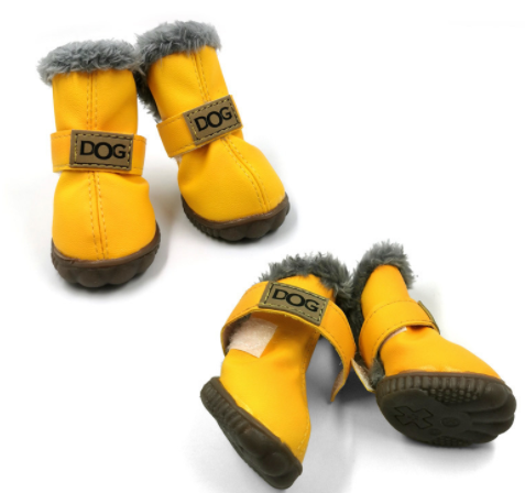 Warm winter dog wear and shoes to protect paws from ice