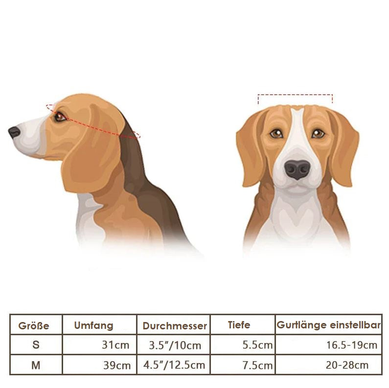 Diagram illustrating how to measure a dog's head for the correct helmet size