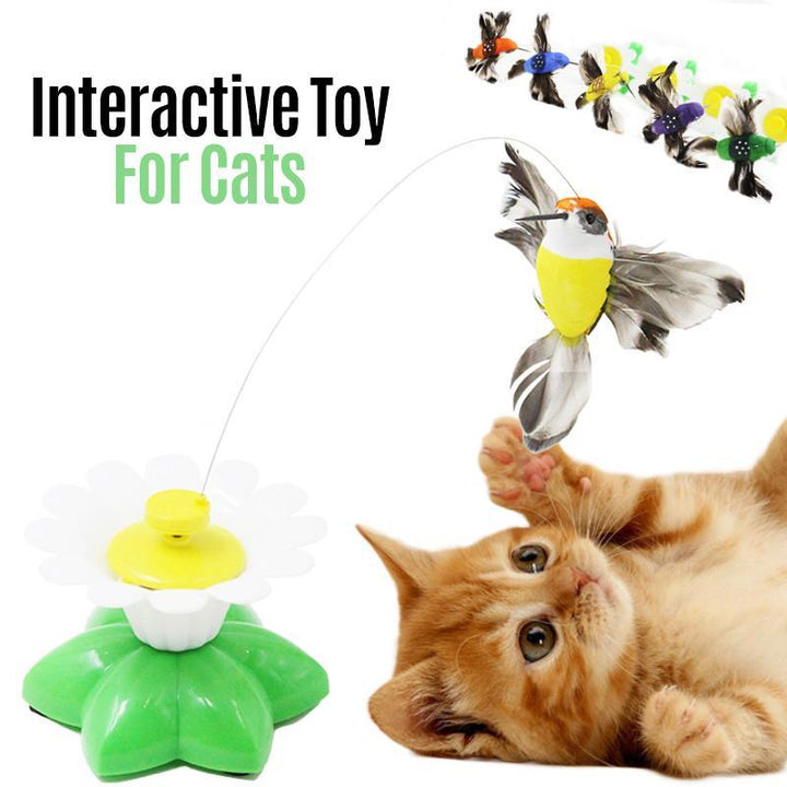 Orange hummingbird cat toy spinning above a green flower base with a kitten nearby