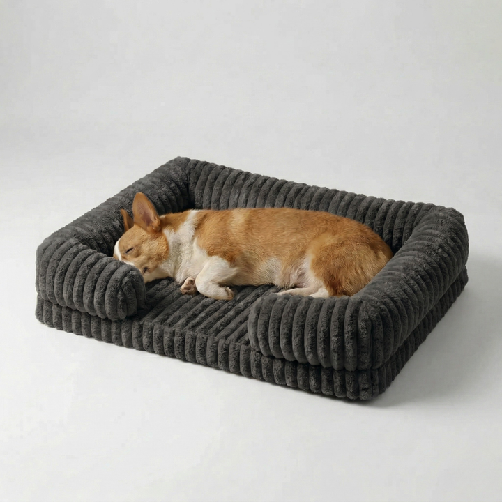 Stylish raised edge dog bed blending with home decor
