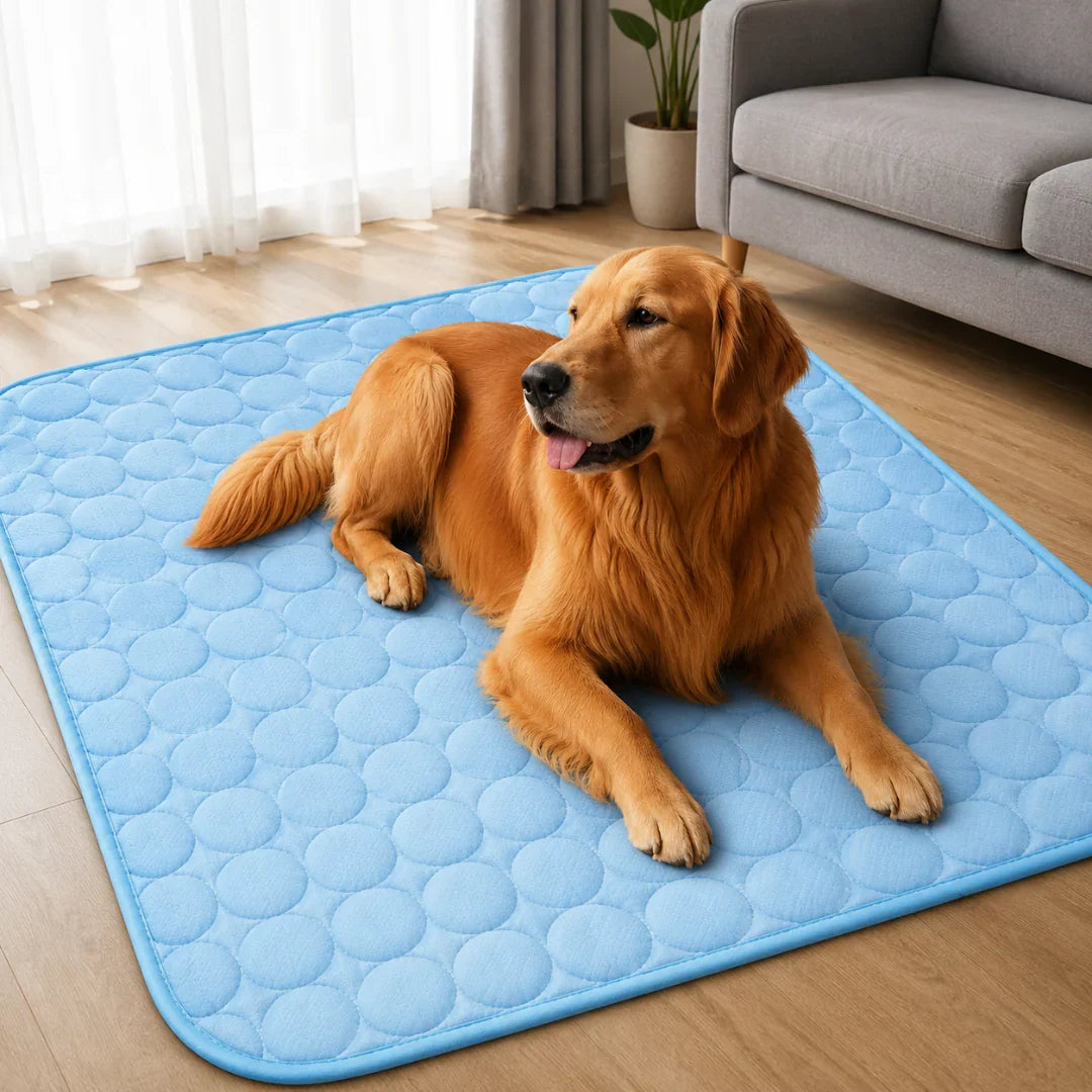 Golden retriever resting comfortably on a blue pet cooling mat in a bright living room