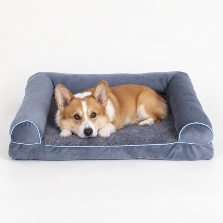 Cute Corgi resting inside the cozy grey orthopedic dog bed