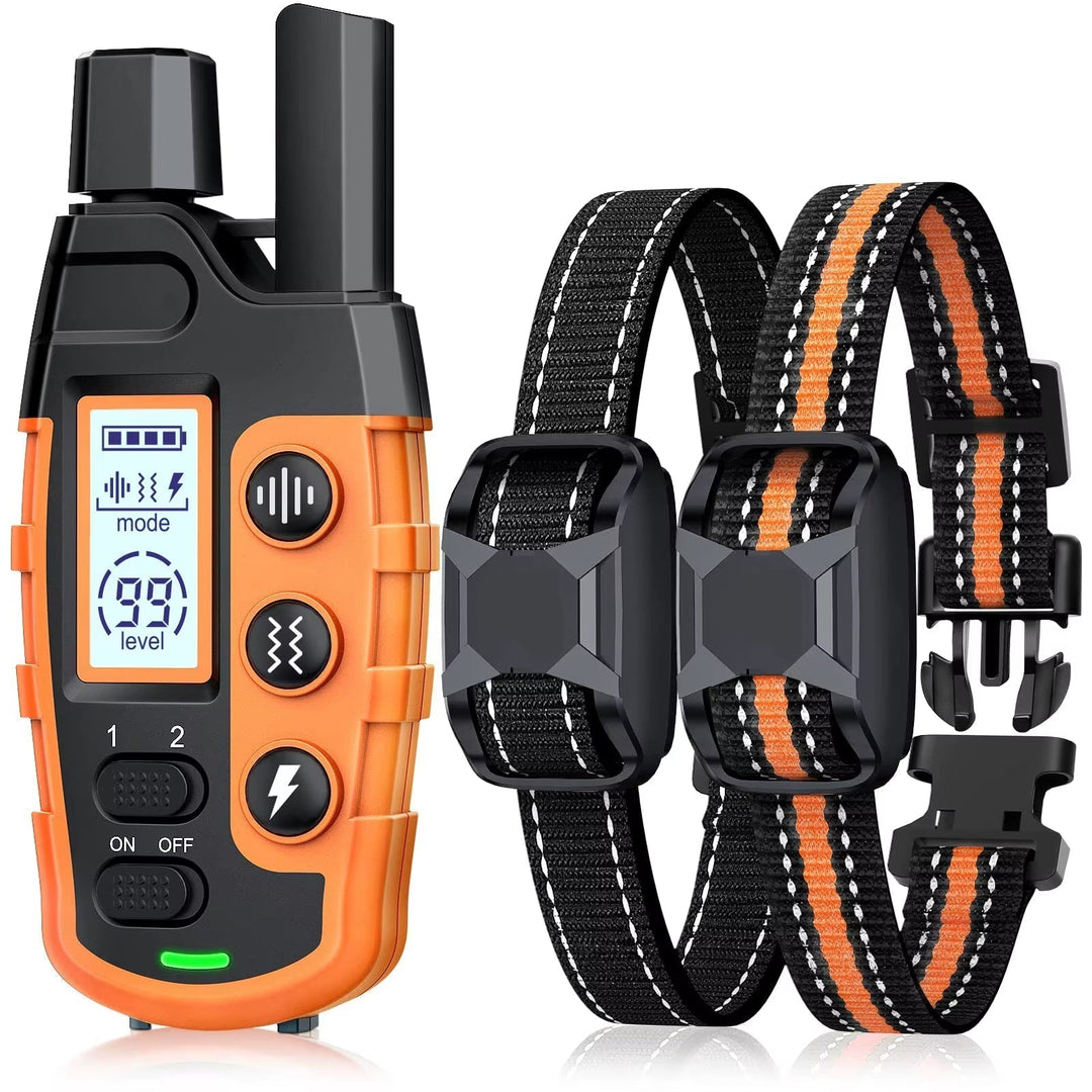 Electric dog training collar kit showing remote and two receiver collars