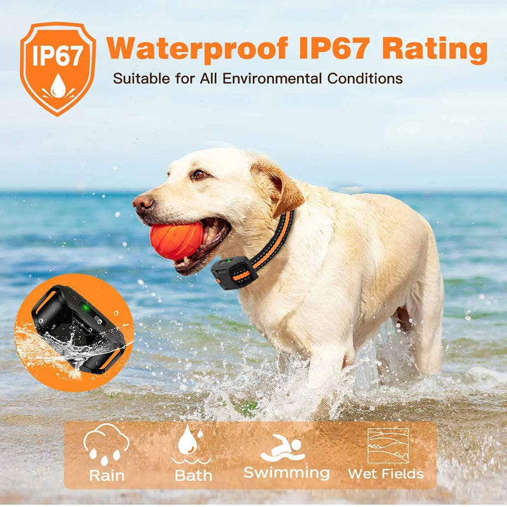 Rechargeable remote dog collar with adjustable strap for training