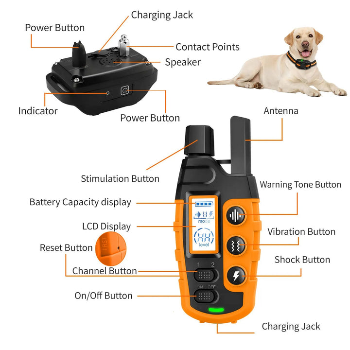 Safe electric dog training collar set with remote accessory