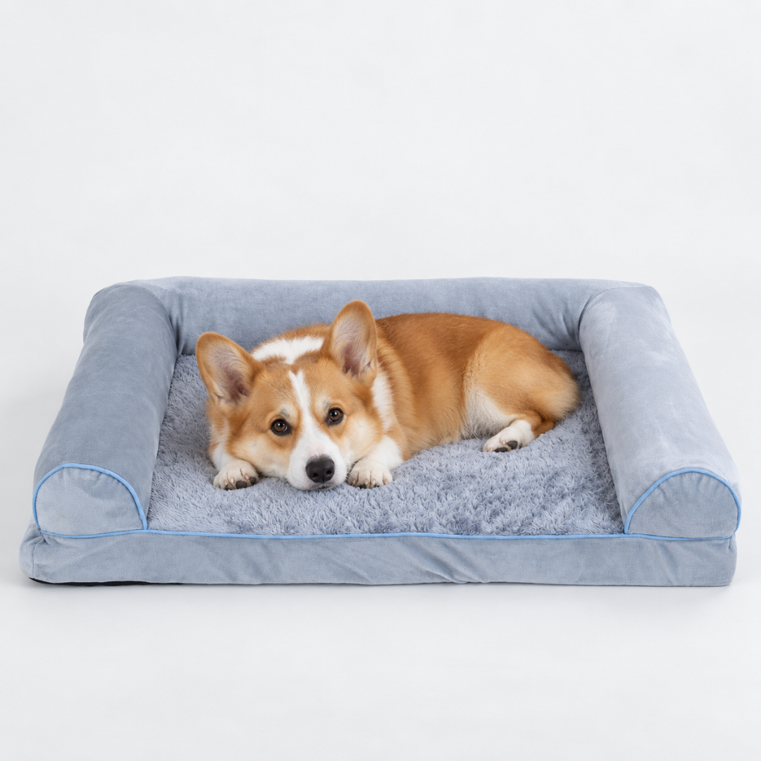 Corgi lying calmly in the plush grey dog sofa bed