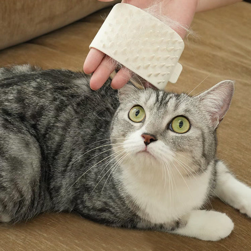 Cat being brushed with a white silicone hand comb during grooming
