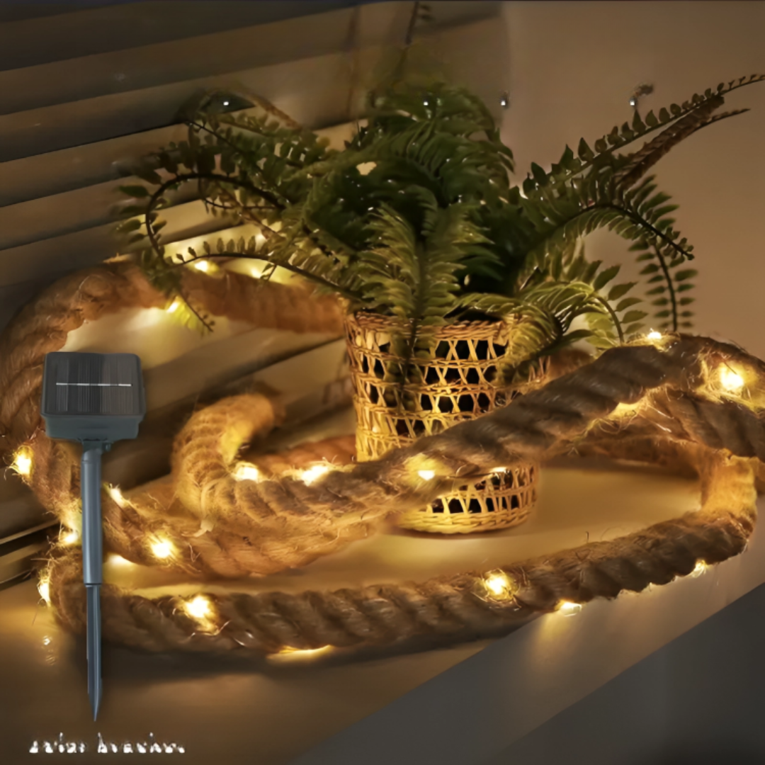 Solar panel and coiled rope string light displayed near a potted plant indoors
