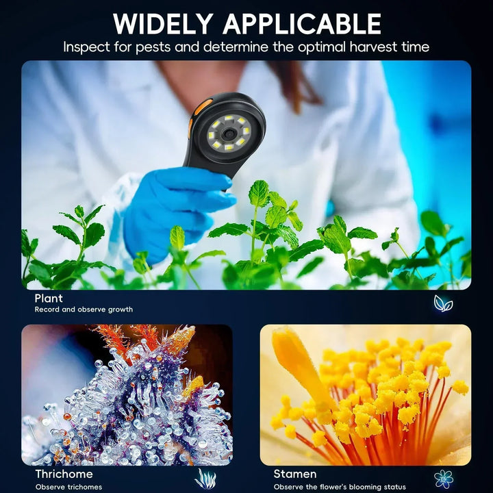 Digital pocket microscope showing plant leaf cellular structure