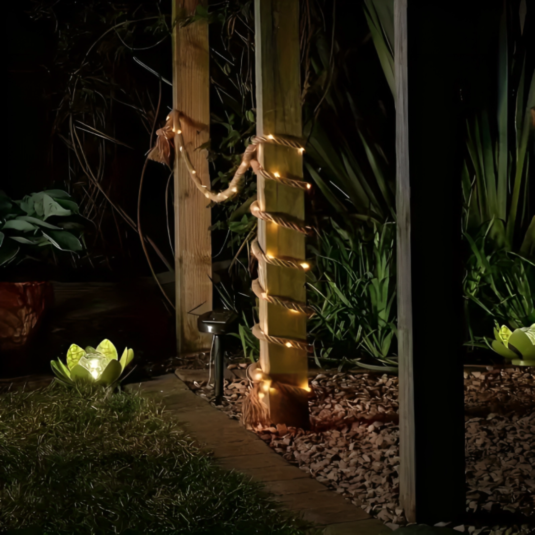 Waterproof solar powered string lights wrapped around a garden tree branch