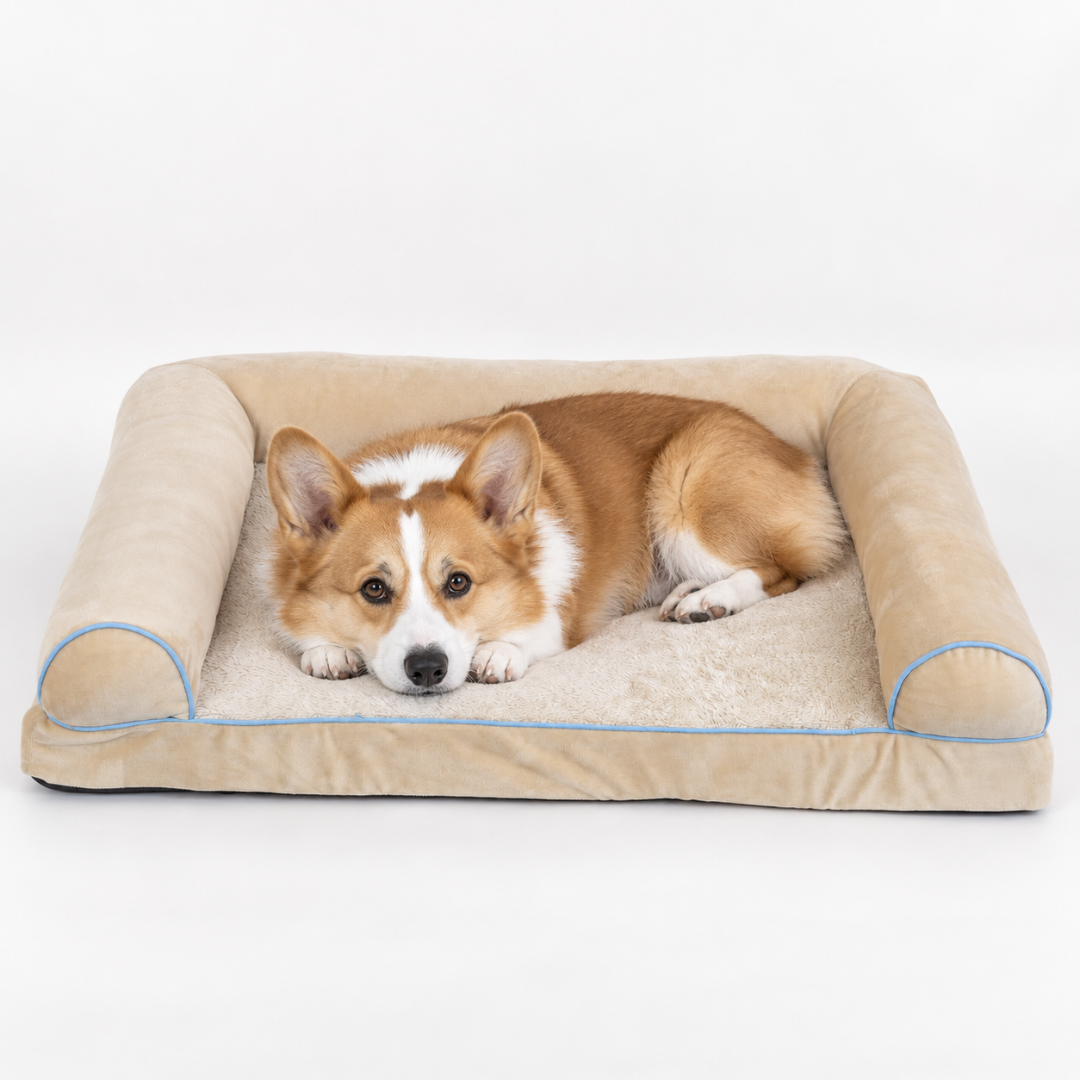 Orthopedic pet bed showcasing durable stitching and premium pet comfort materials