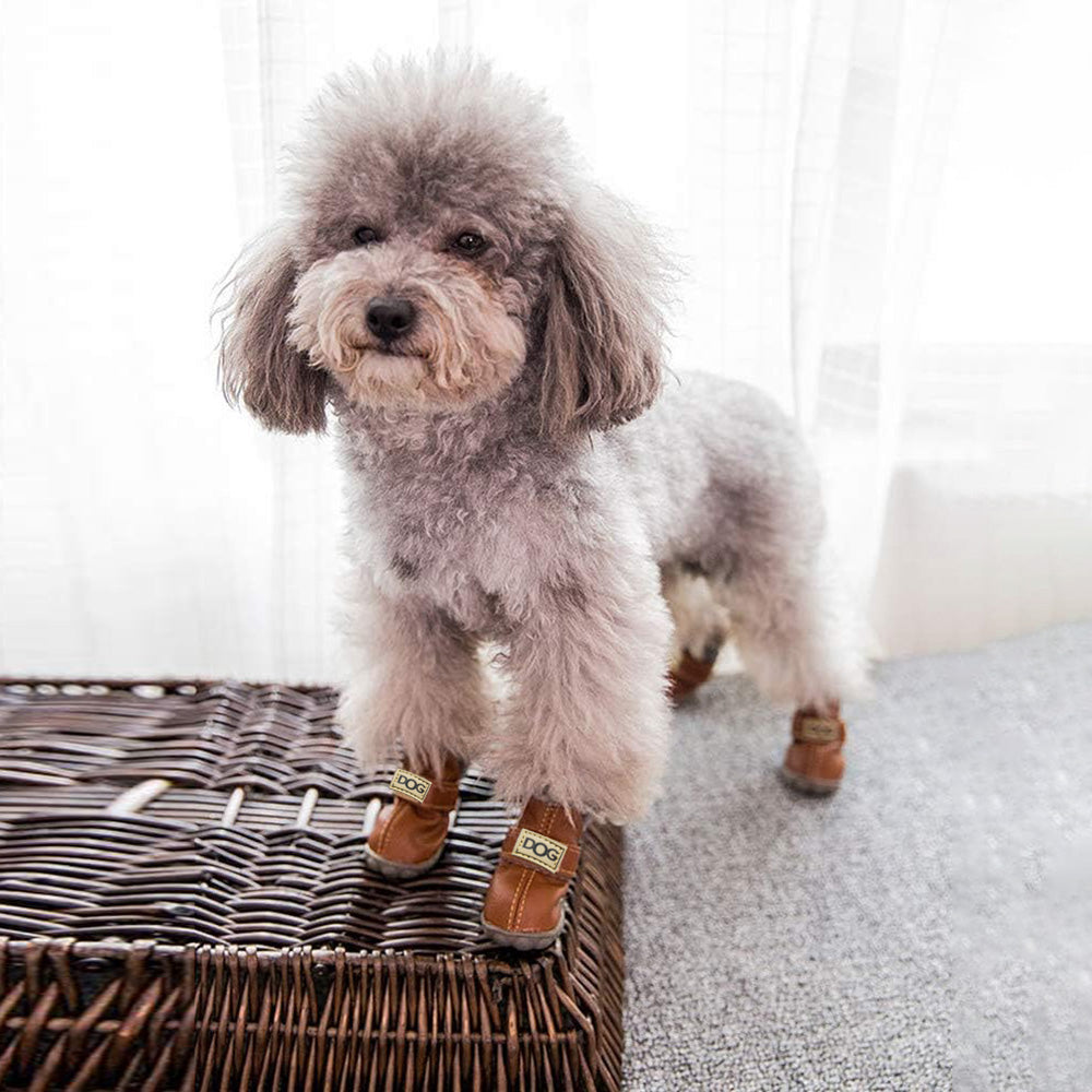 Grey poodle wearing brown dog snow boots indoors