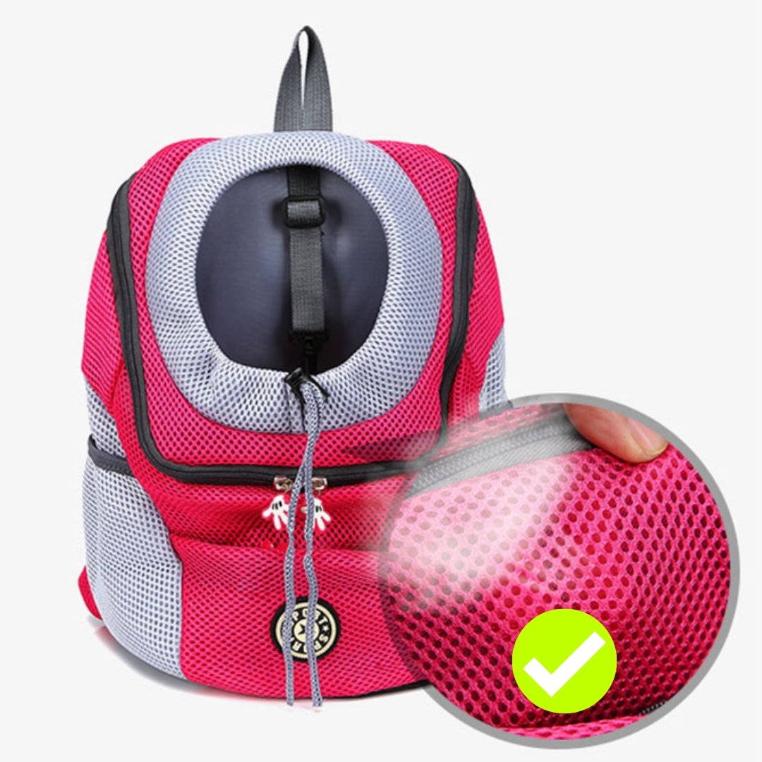Hiking pet carrier showing adjustable buckles for secure fit