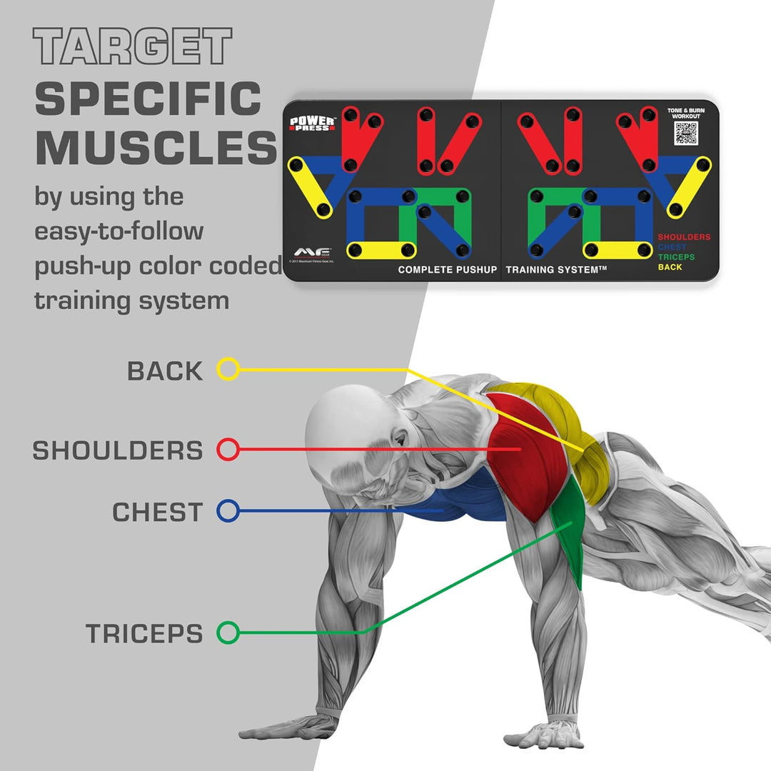 Diagram showing color-coded muscle targets on the push-up board