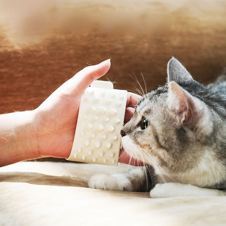 Pet grooming tool removing loose fur during daily brushing routine