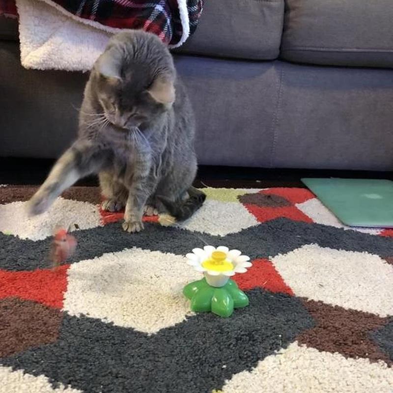 Interactive toy for cats featuring a realistic flying bird