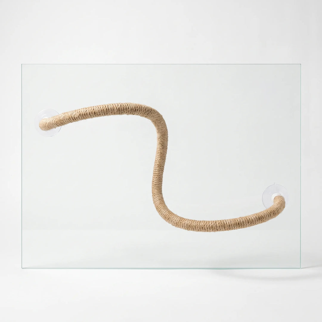 Flexible bird perch attached to a glass window with suction cups