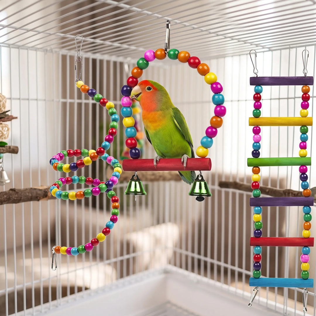 Bird cage setup featuring a beaded spiral and ladder toy with a lovebird
