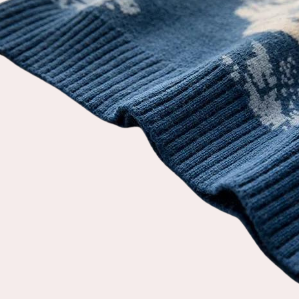 Joe | Men’s Scenic Print Sweater