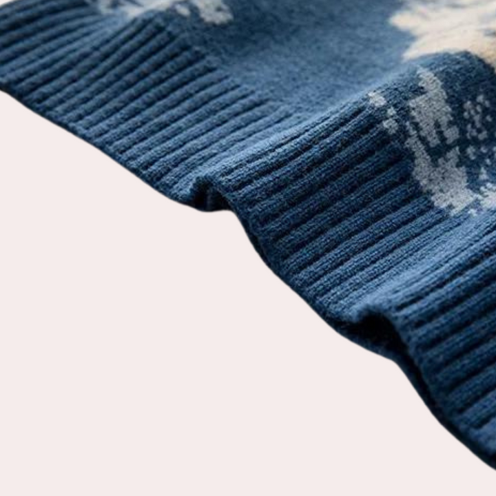 Joe | Men’s Scenic Print Sweater