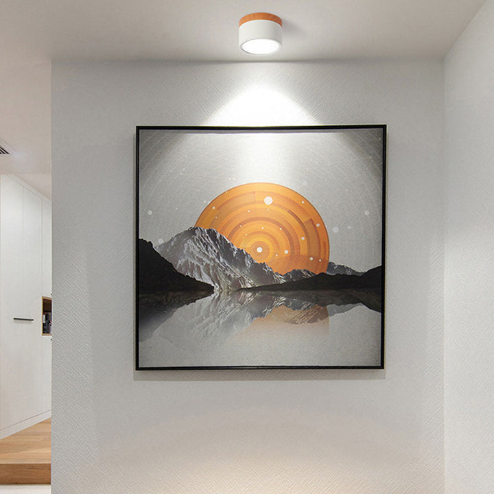 White cylindrical ceiling light mounted above a framed wall artwork
