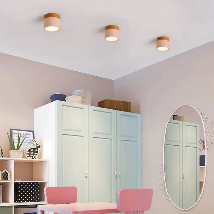 Energy efficient flush mount ceiling light for contemporary home decor