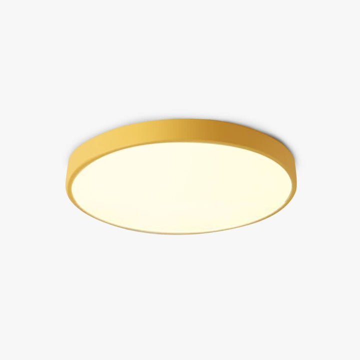 Close-up detail of the modern metal ceiling lamp showcasing the sleek finish and rim