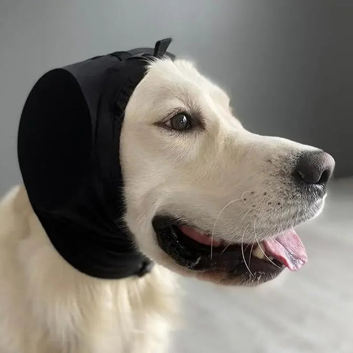 Golden retriever wearing black dog earmuffs for noise reduction