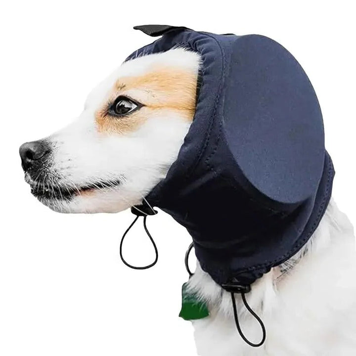 Dog wearing blue noise-canceling ear protectors in profile view
