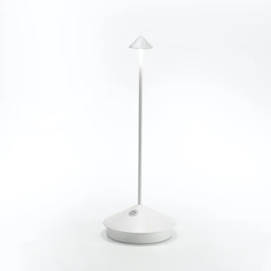 Outdoor lighting ambiance created by multiple rechargeable lamps in the garden