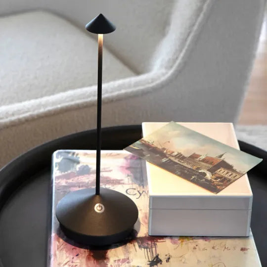 Durable construction of the rechargeable outdoor lamp shown in daylight