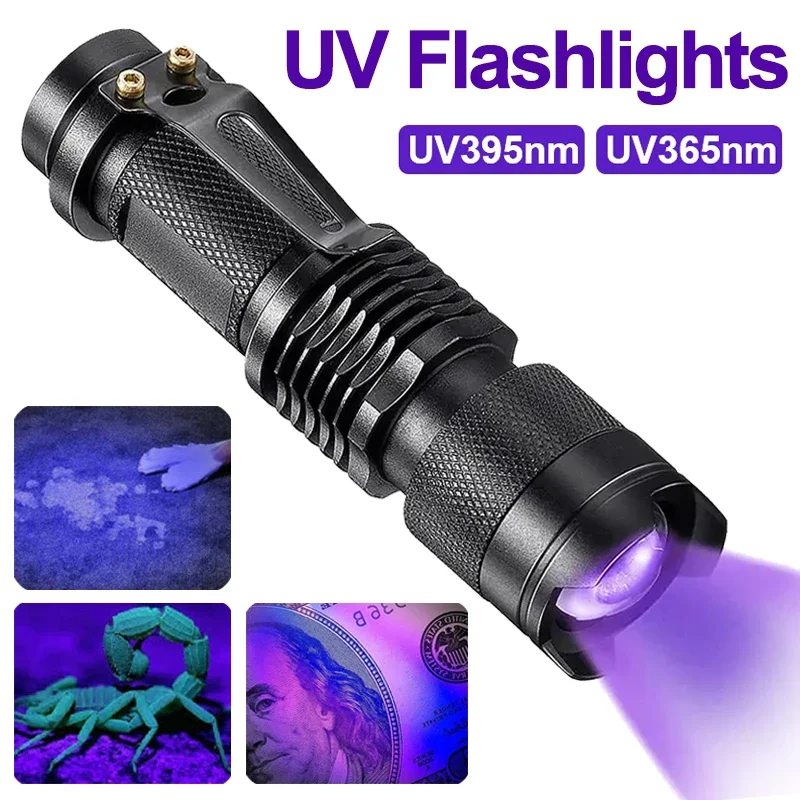 GlowInspect UV Flashlight showing ultraviolet beam on carpet and currency