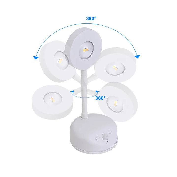 Remote controlled rechargeable picture light attached above framed canvas