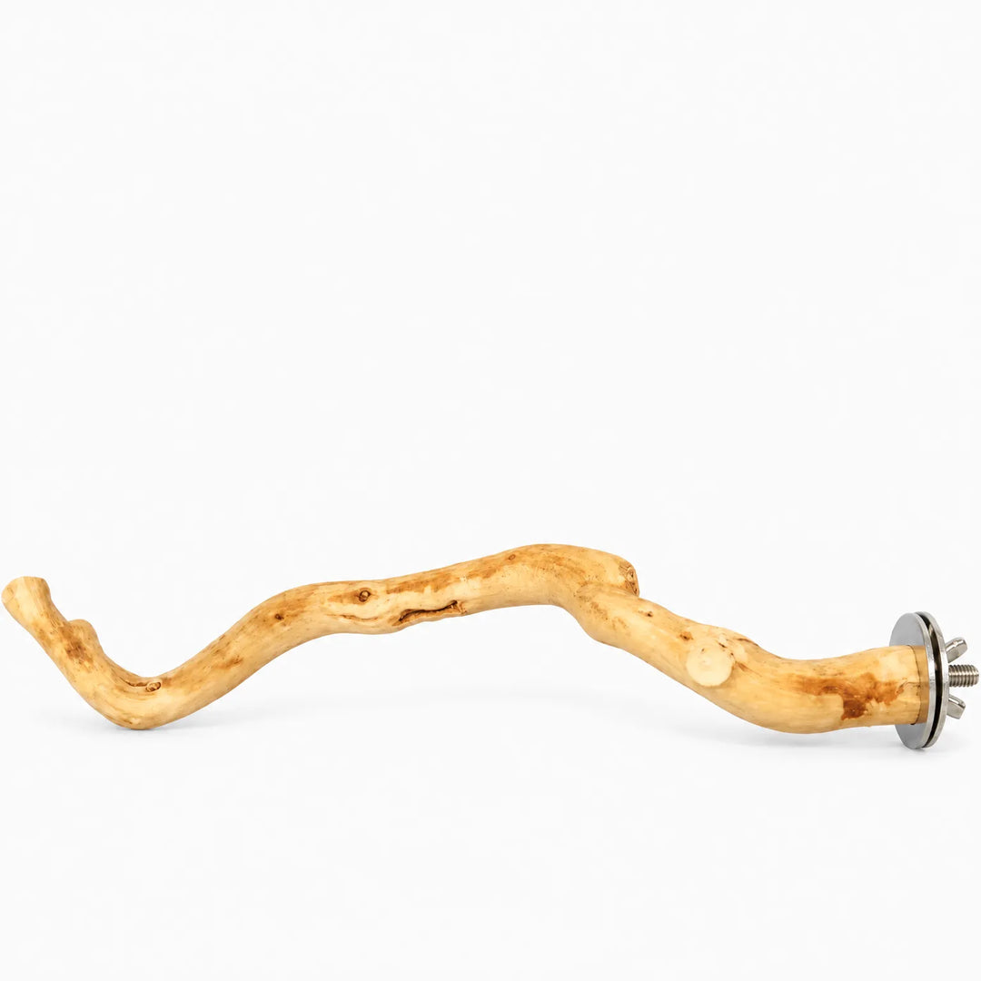 Curved natural wood bird perch branch with metal mounting hardware on a white background