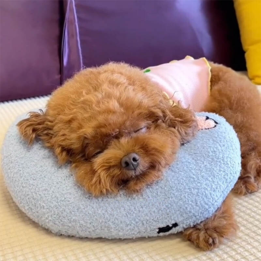 Plush orthopedic dog bed for calming sleep, front gallery view