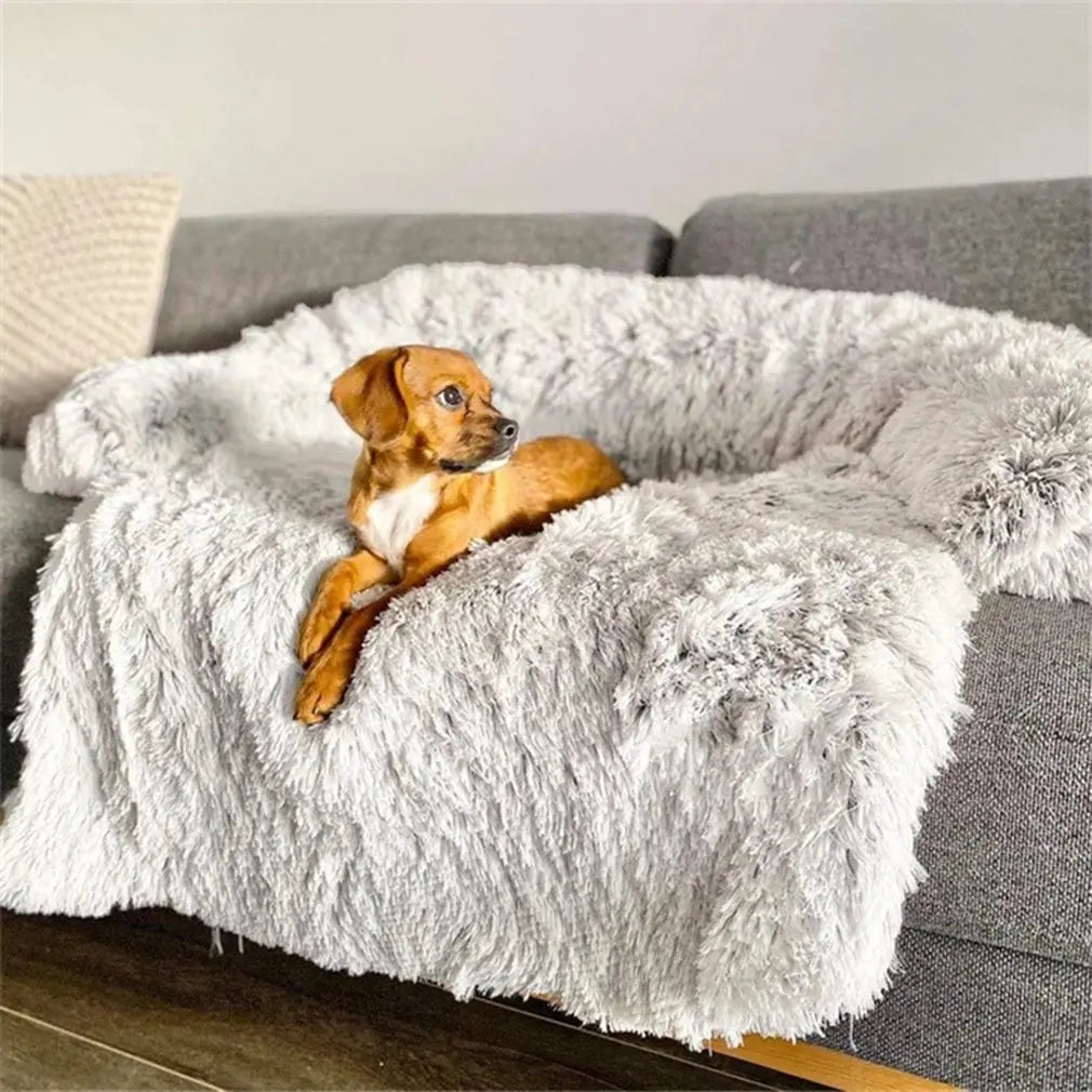Happy dog resting comfortably on the soft plush dog bed and pet mat