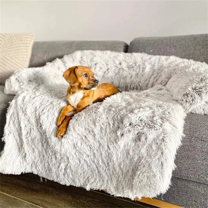 Happy dog resting comfortably on the soft plush dog bed and pet mat