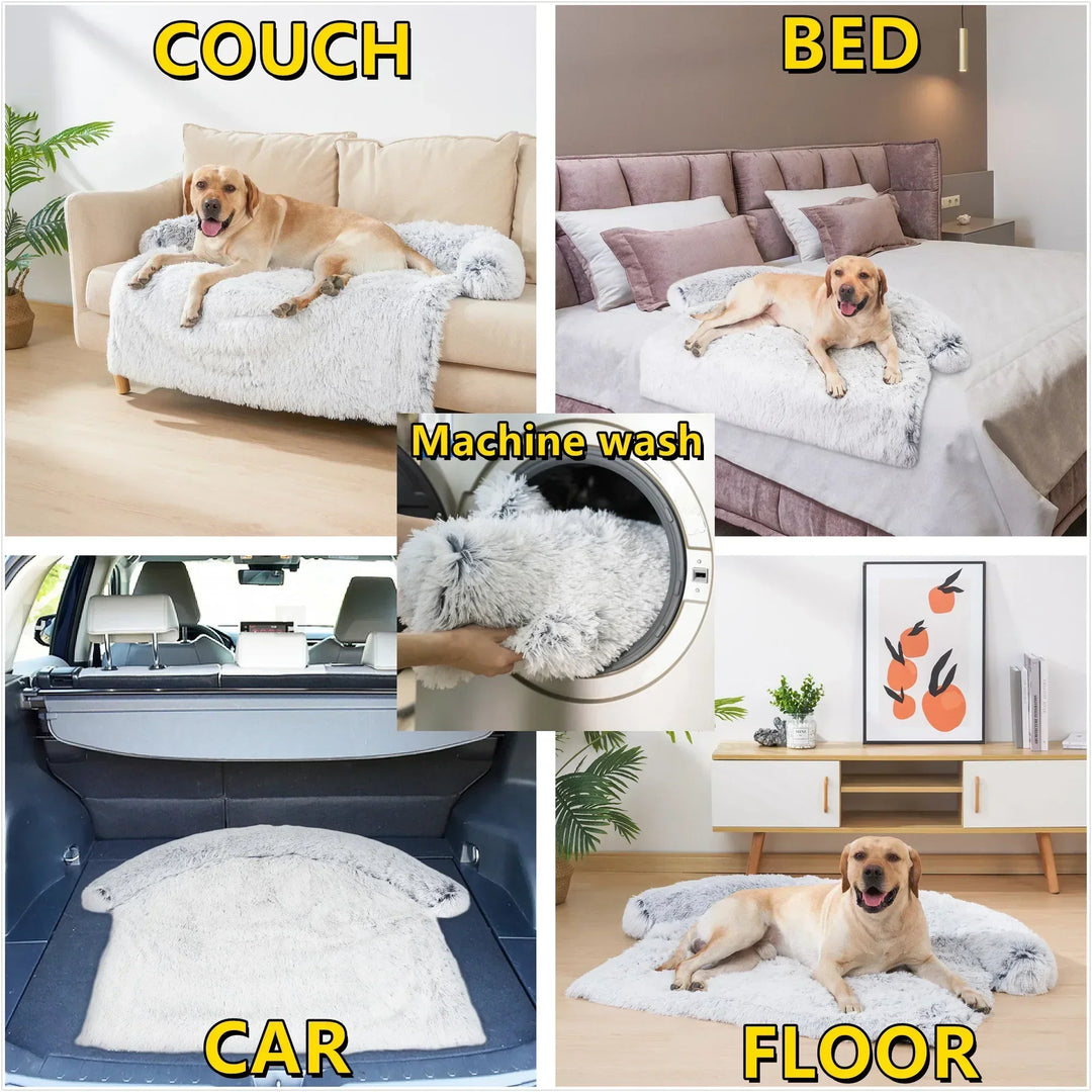 Four-panel lifestyle image showing pet bed used on couch, bed, car boot, and floor with machine washing demonstration