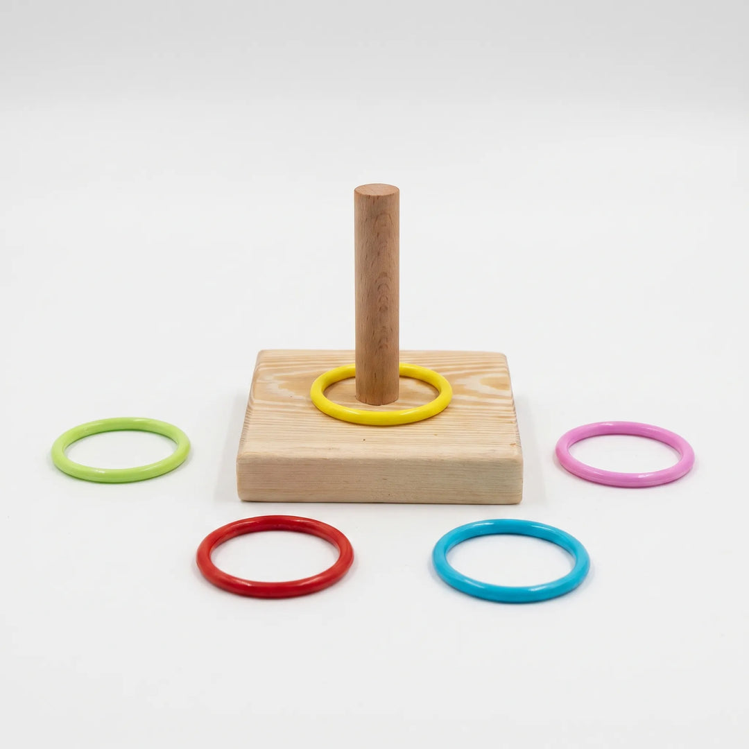 Wooden interactive bird ring toss toy with colourful rings on a white background