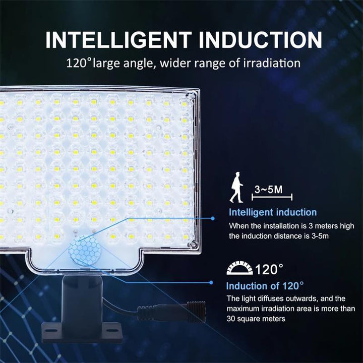 Weatherproof solar motion sensor light illuminating a dark pathway at night for safety.