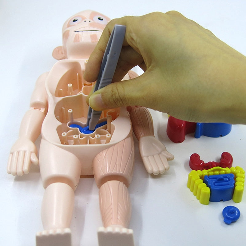 Child's hand using tweezers to assemble the human body toy