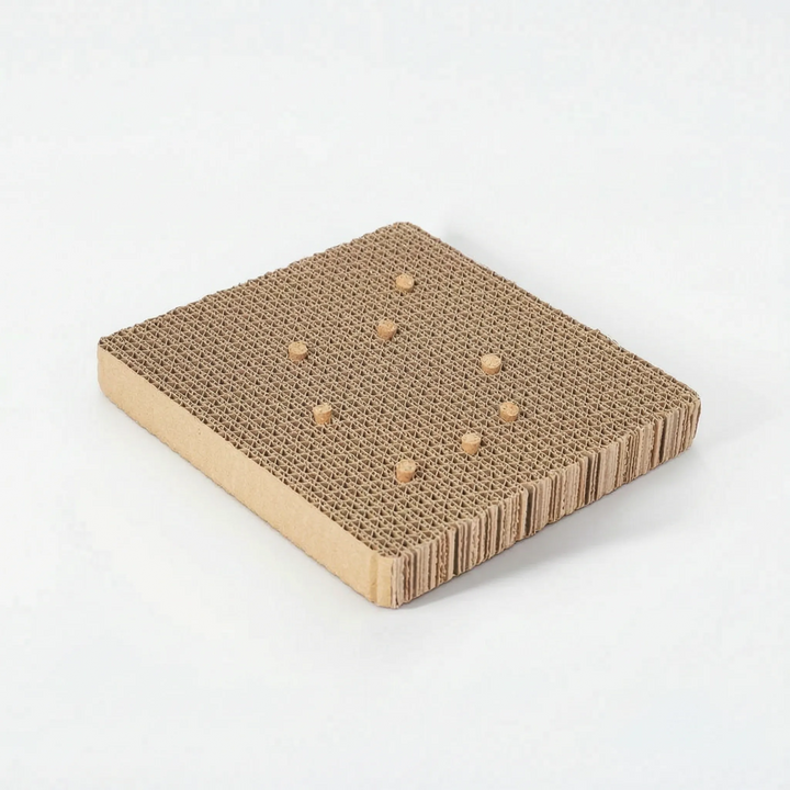 Cockatiel accessory bird platform resting on a white background